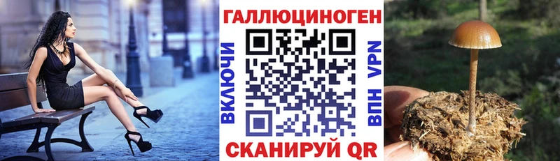 Псилоцибиновые грибы прущие грибы  сколько стоит  Абакан 